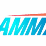 Service Online Payment